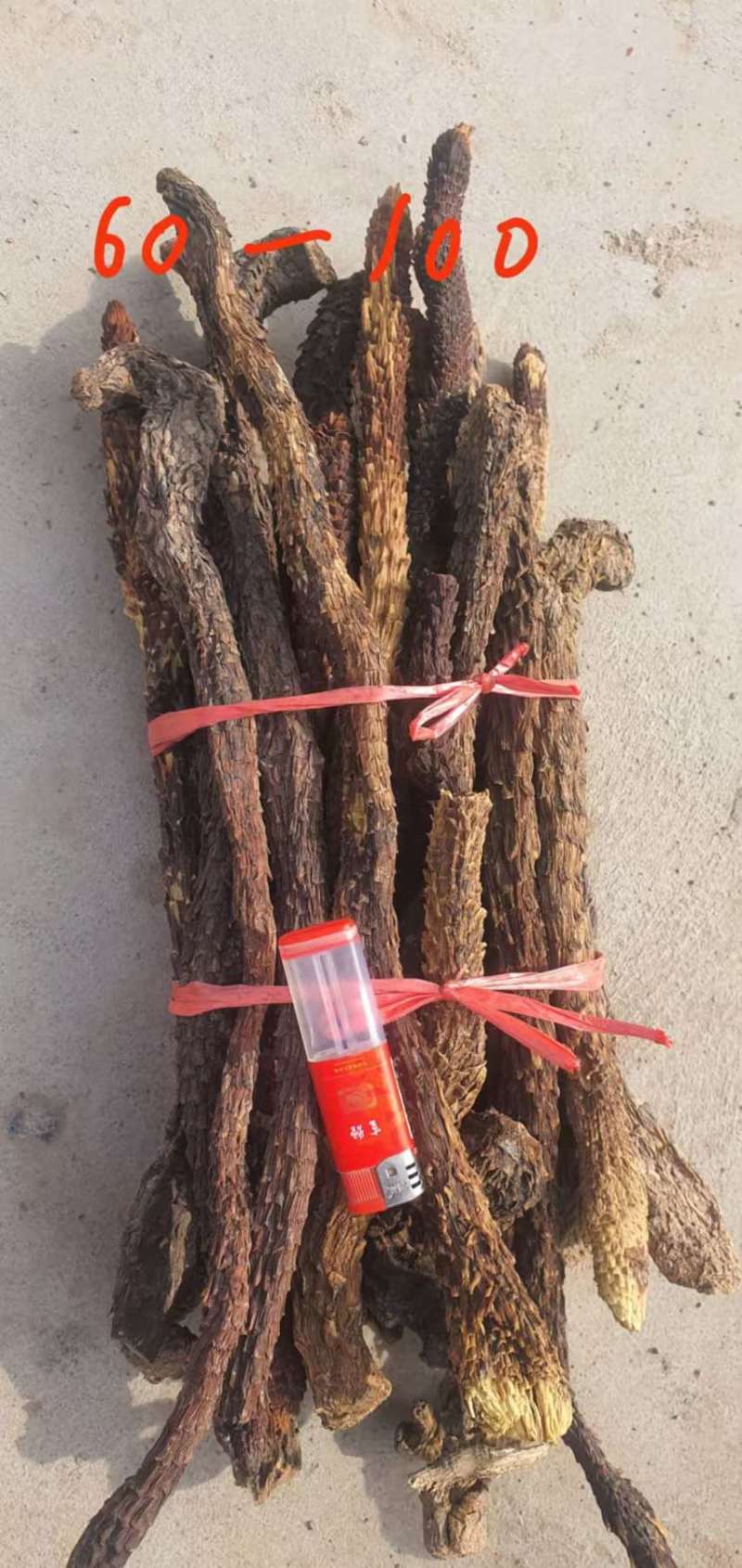 精品荒漠肉苁蓉种植原厂，全国包邮，量大从优。有鉴定报告。