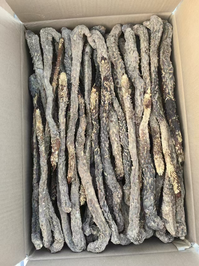 精品荒漠肉苁蓉种植原厂，全国包邮，量大从优。有鉴定报告。