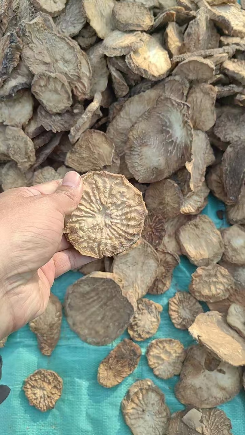 精选荒漠肉苁蓉鲜干片片，全国包邮，原厂直发，量大从优。