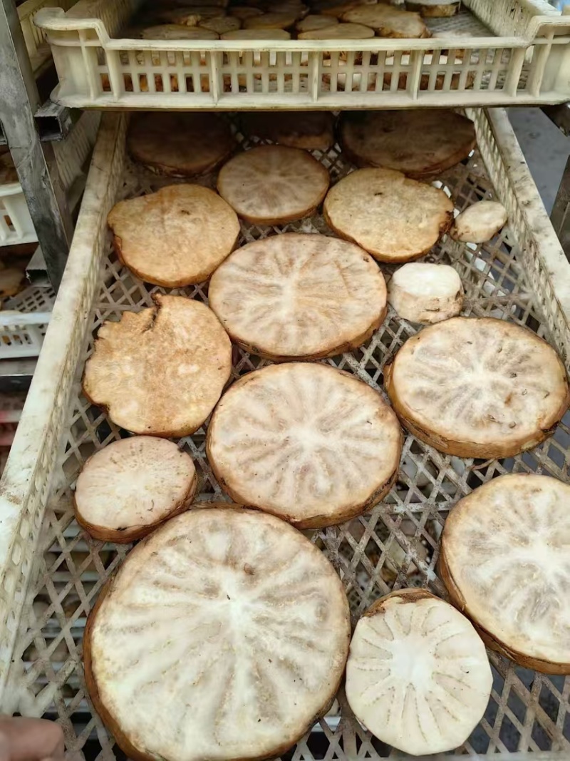 精选荒漠肉苁蓉鲜干片片，全国包邮，原厂直发，量大从优。