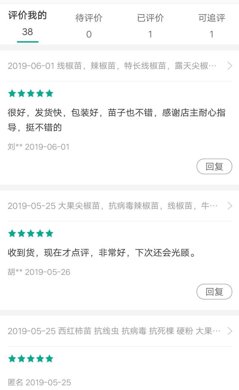 线椒苗尖椒苗辣椒苗二荆条苗耐高温产量高