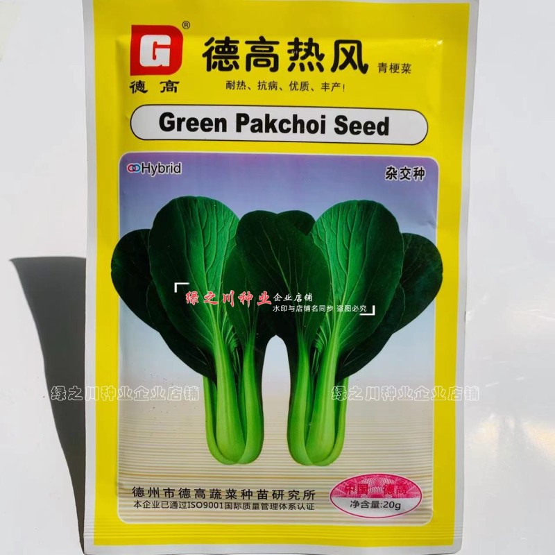 德高热风青梗菜种子耐热叶色深绿油亮好捆扎青菜种子