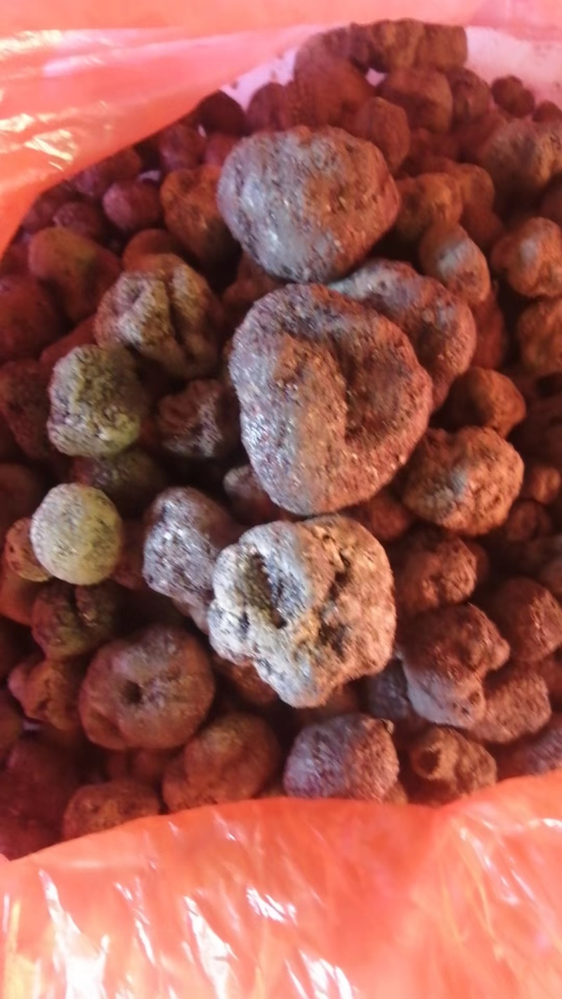 精品云南黑松露质量保证大量上市产地直供全国发货