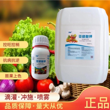 亚磷酸钾控旺高磷高钾膨果美果抗病抗逆上色提质控梢保果草莓