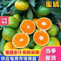 【精品特早蜜橘】沙土种植细皮嫩肉酸甜无渣质量三包诚信经营