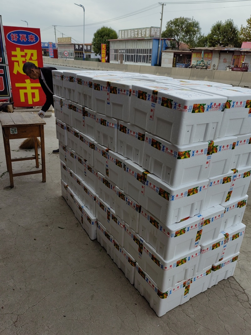【一件代发山东鲜枣冬枣抖音快手社区团购多多美团大量现货
