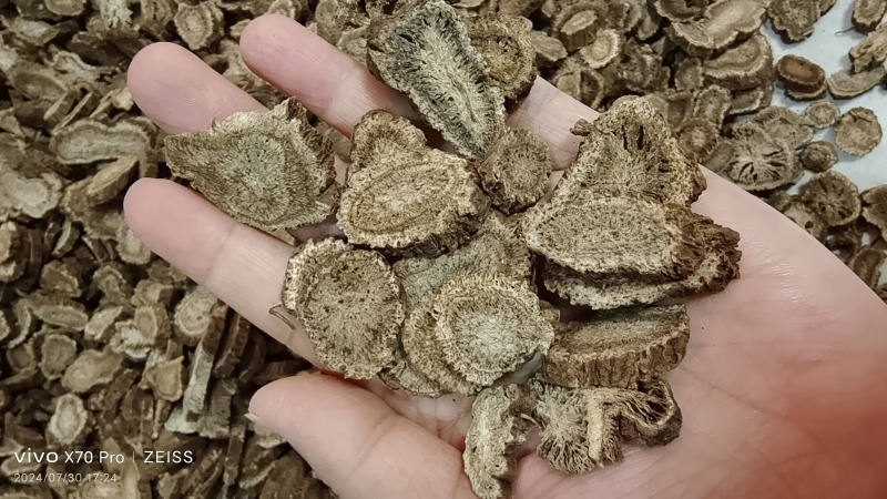 木香云南干货切片选货量大从优欢迎选购