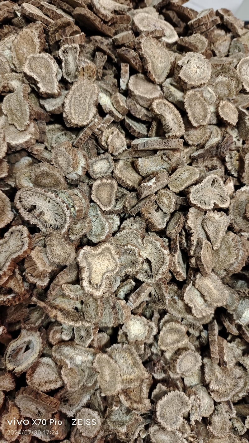木香云南干货切片选货量大从优欢迎选购