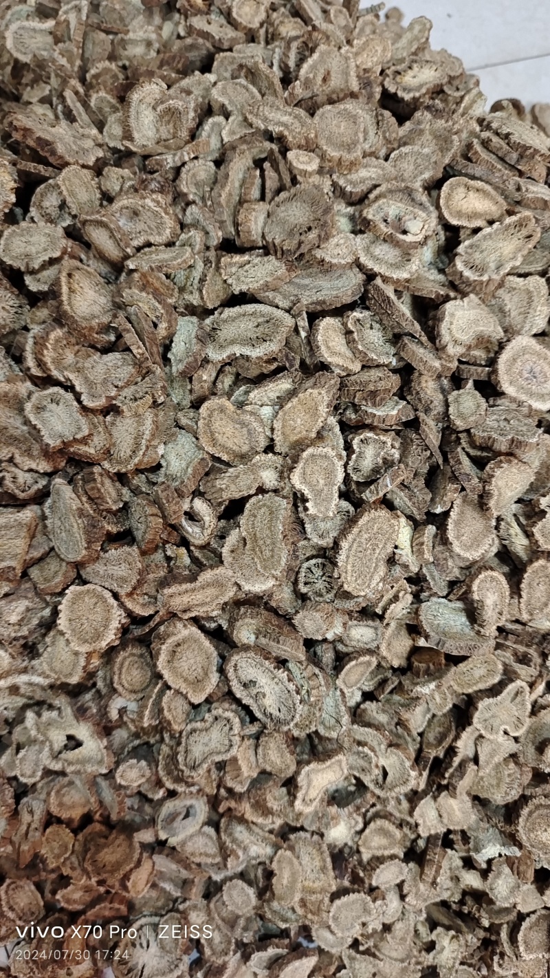 木香云南干货切片选货量大从优欢迎选购