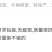 辣椒苗秋延越冬大果尖椒牛角尖椒苗黄皮尖椒苗耐高温