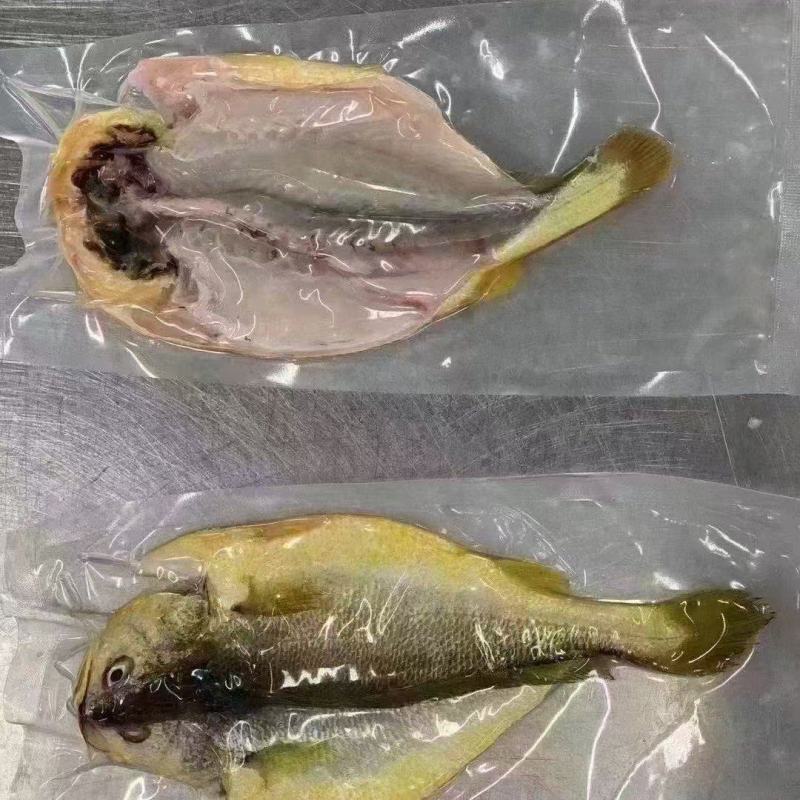 黄花鱼
