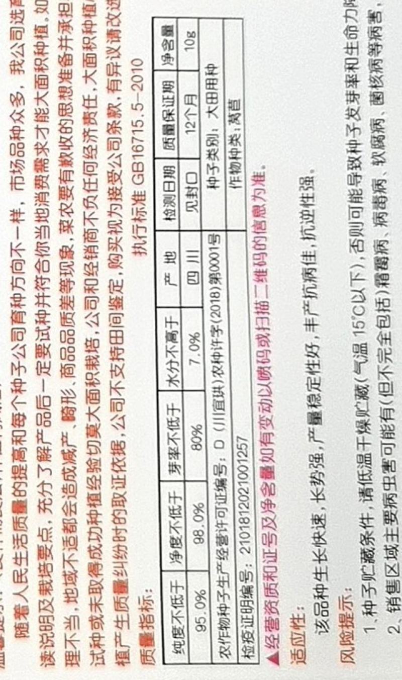 油麦菜种子香香油麦菜无斑油亮耐寒抗热抗病适应范围广