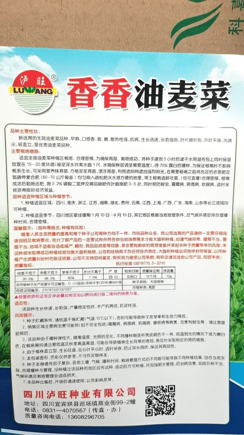 油麦菜种子香香油麦菜无斑油亮耐寒抗热抗病适应范围广