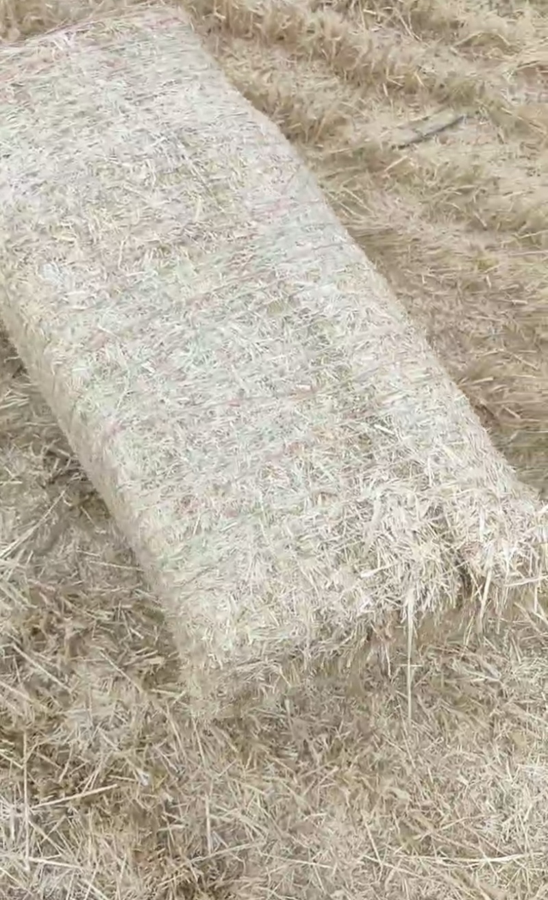 小麦秸秆秸䄭小套袋货源充足基地直发可视频看货