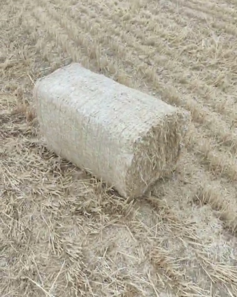 小麦秸秆秸䄭小套袋货源充足基地直发可视频看货