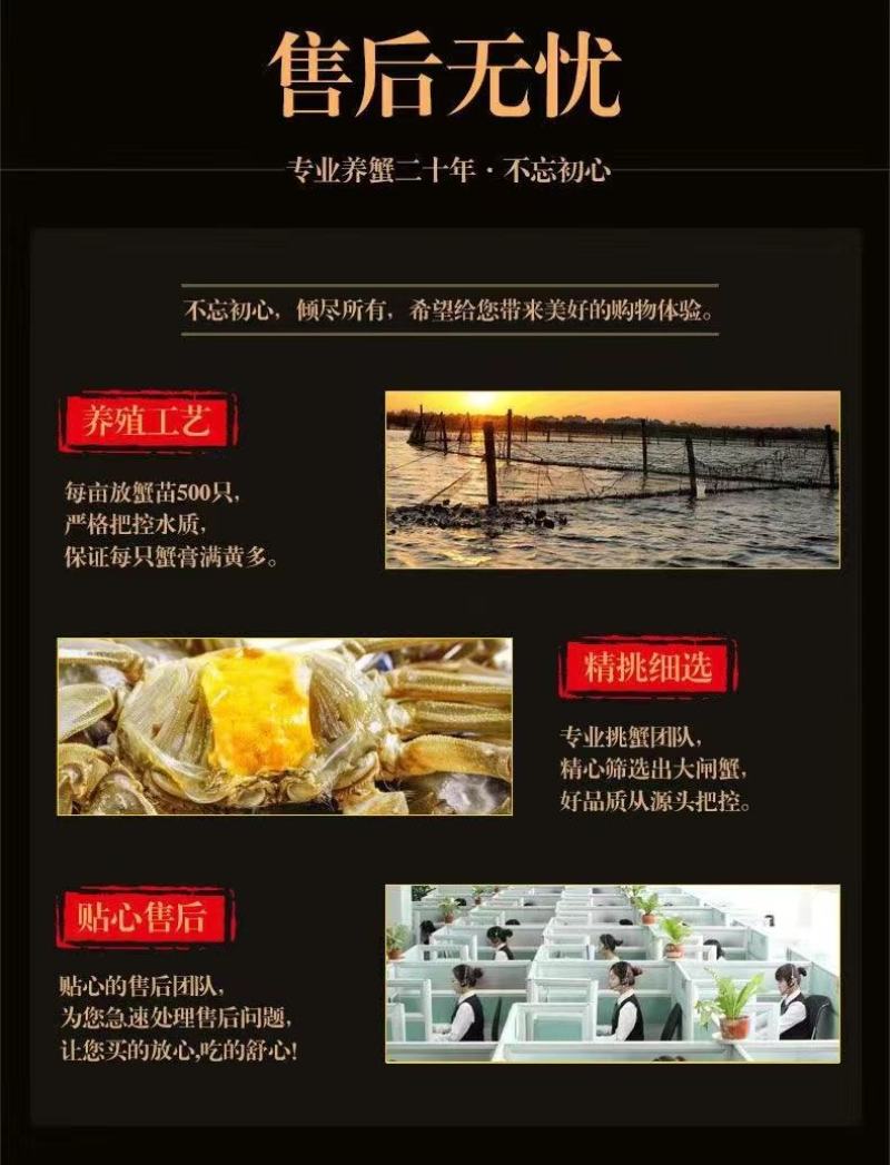 固城湖大闸蟹，开始上市