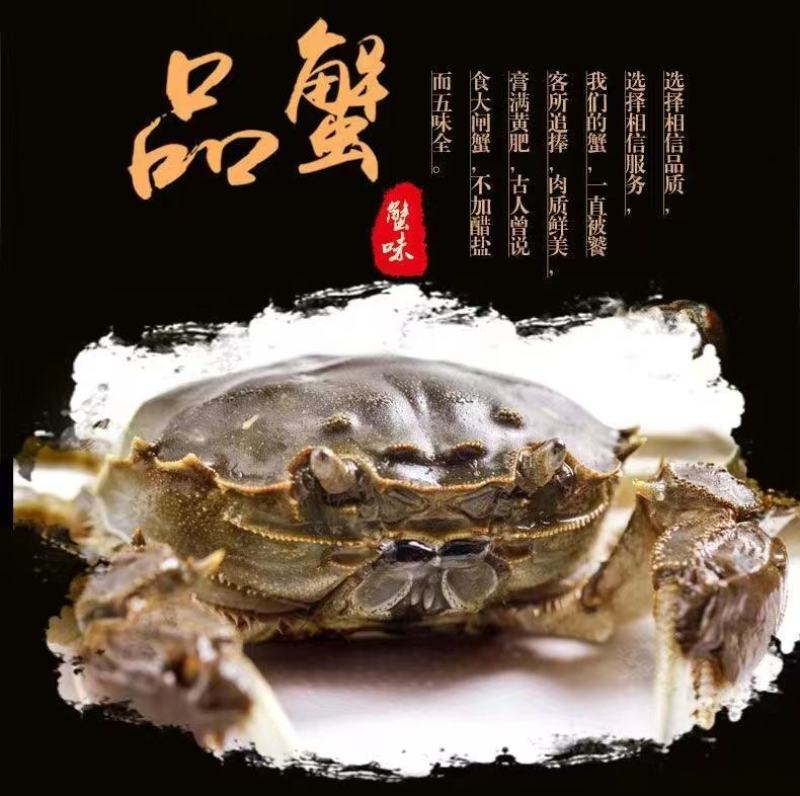 固城湖大闸蟹，开始上市