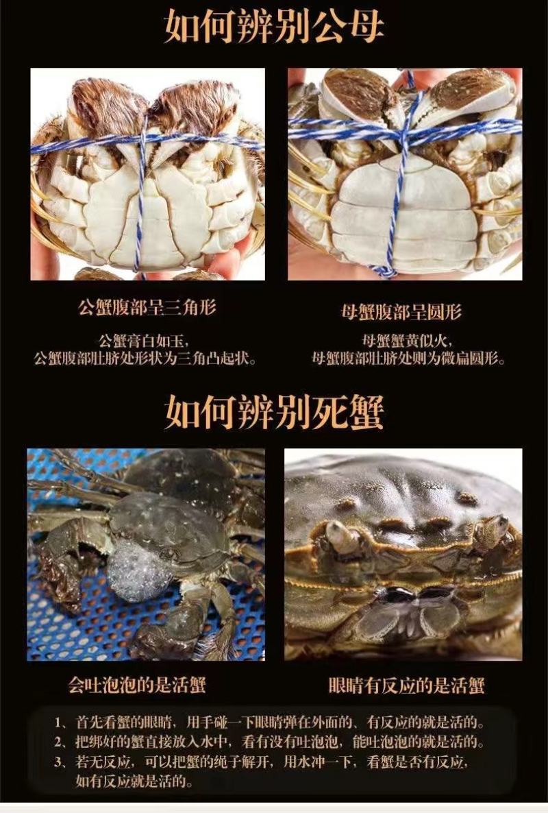 固城湖大闸蟹，开始上市