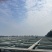 固城湖大闸蟹，开始上市