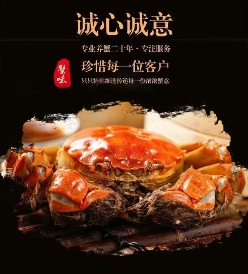 固城湖大闸蟹，开始上市