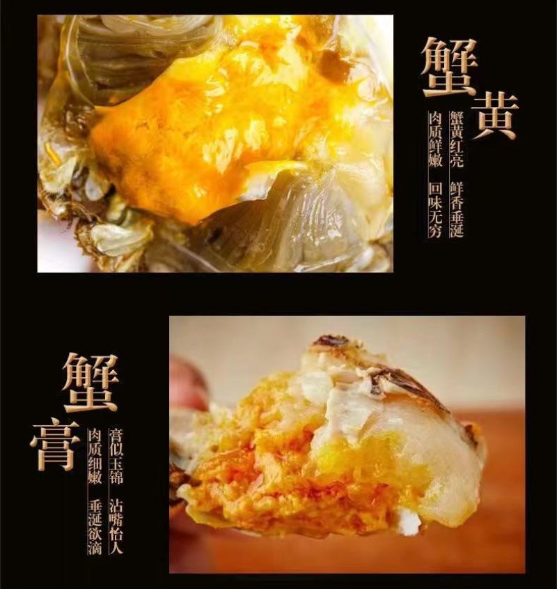 固城湖大闸蟹，开始上市