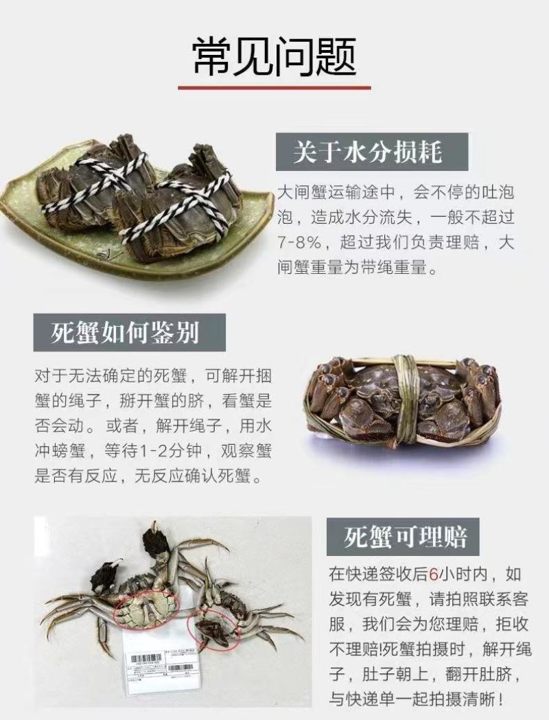 固城湖大闸蟹，开始上市