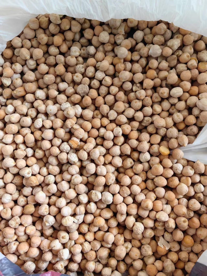 鹰嘴豆新疆鹰嘴豆一手货源全国代发价格优惠欢迎致电