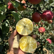 《冰糖心苹果》昭通丑苹果糖心苹果大量现货价格美丽口感清脆