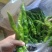 甘肃定西-螺丝椒-绿绿的-精品货
