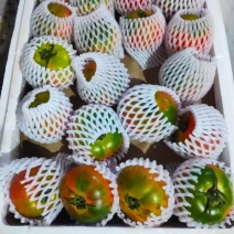 草莓番茄，可常年与供应链合作，全国代办