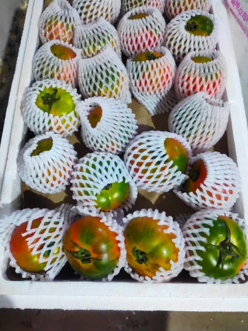 草莓番茄，可常年与供应链合作，全国代办