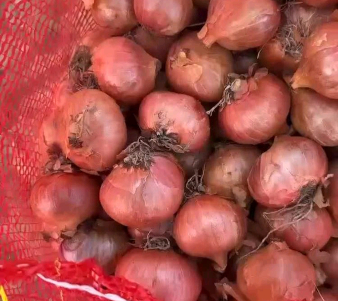 大葱在炒锅中翻炒的场景