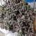 热销赣南紫山药江西脚板薯蔬菜富硒紫玉淮山药批发支持代办