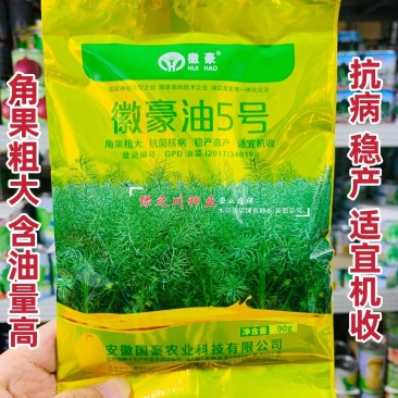 安徽国豪油菜种子徽豪油5号油菜种子出油量高矮杆油菜籽耐寒