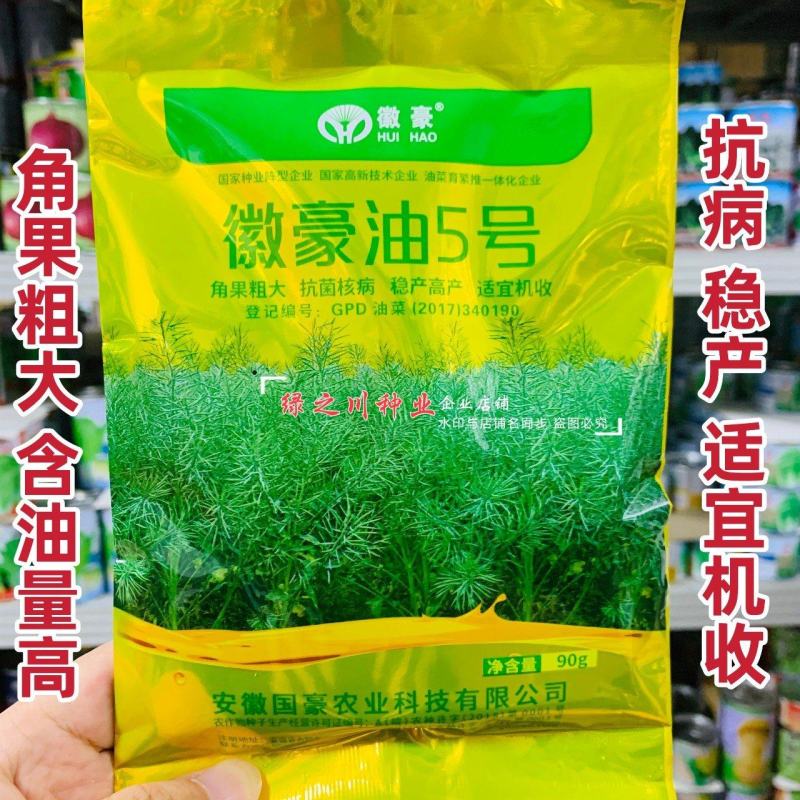 安徽国豪油菜种子徽豪油5号油菜种子出油量高矮杆油菜籽耐寒