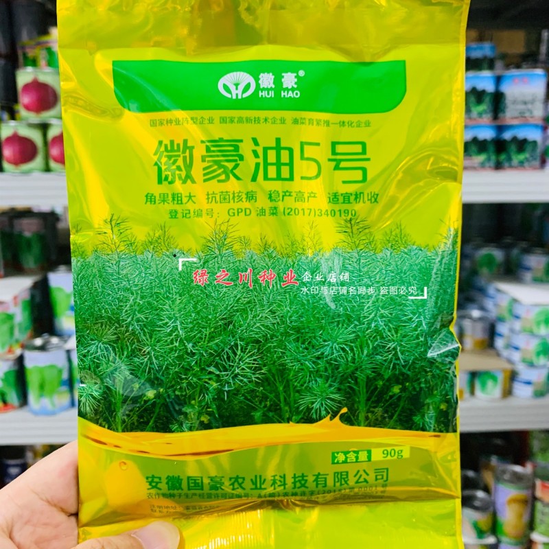 安徽国豪油菜种子徽豪油5号油菜种子出油量高矮杆油菜籽耐寒
