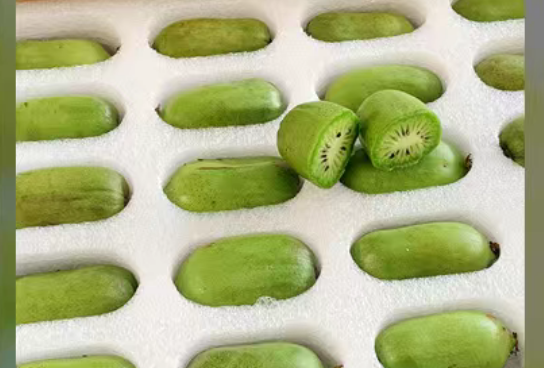 软枣猕猴桃库库瓦包装与零售展示