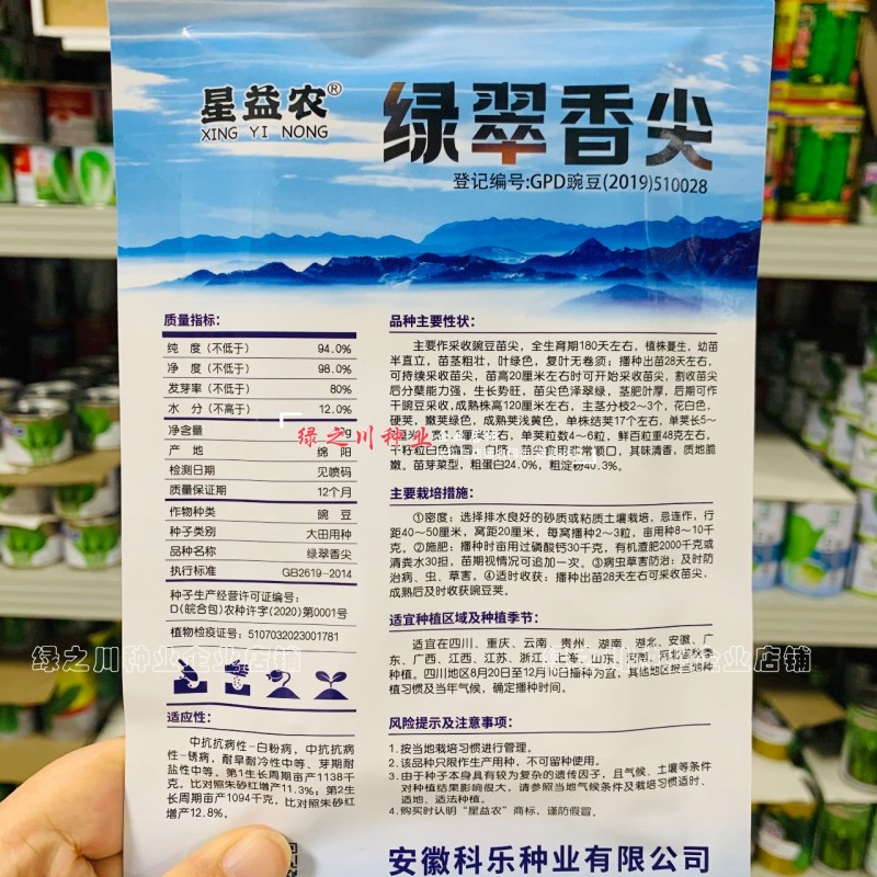 绿翠香尖豌豆苗种子苗芽菜种籽豌豆尖种子阳台盆栽大田秋季