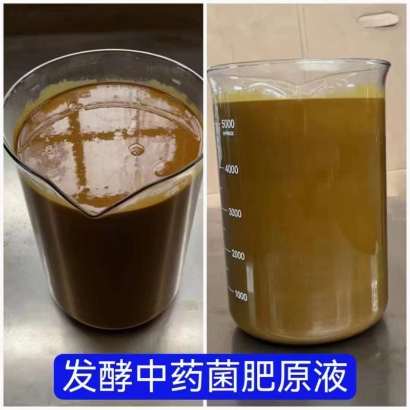 微生物生根剂50亿EM活菌浓缩液生根抗重茬抗病抗逆