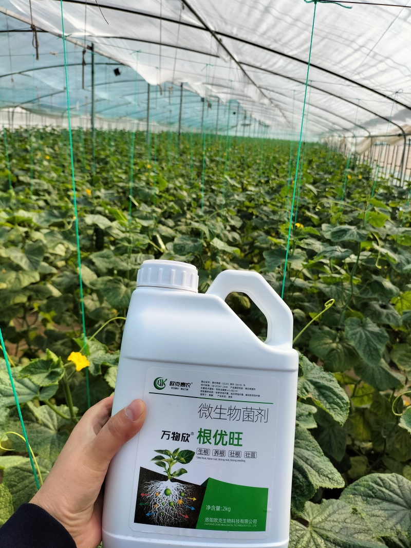微生物生根剂50亿EM活菌浓缩液生根抗重茬抗病抗逆