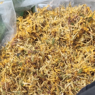 【新货】贵州山银花野生金银花开花货精品货源充足