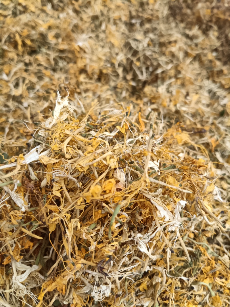 【新货】贵州山银花野生金银花开花货精品货源充足