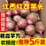 红芽芋头大量上市，基地直供
