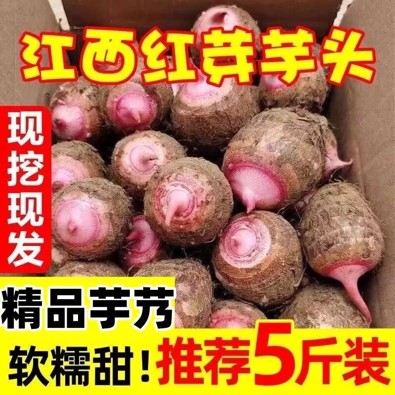 红芽芋头大量上市，基地直供