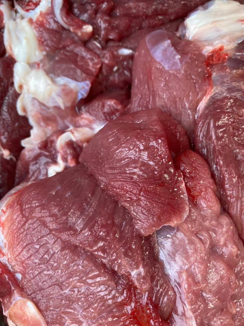 乳牛肉羔牛肉一件也是批发价欢迎随时电话咨询也可接受大量预