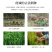 泰国茉莉香米#直播带货#一件发#电商