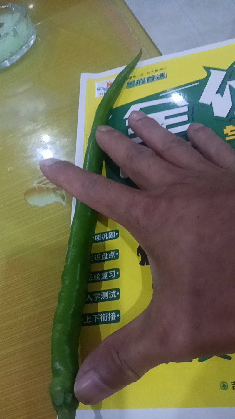 7号红线椒，8号青线椒大量有货，需要的老板速度联系了，