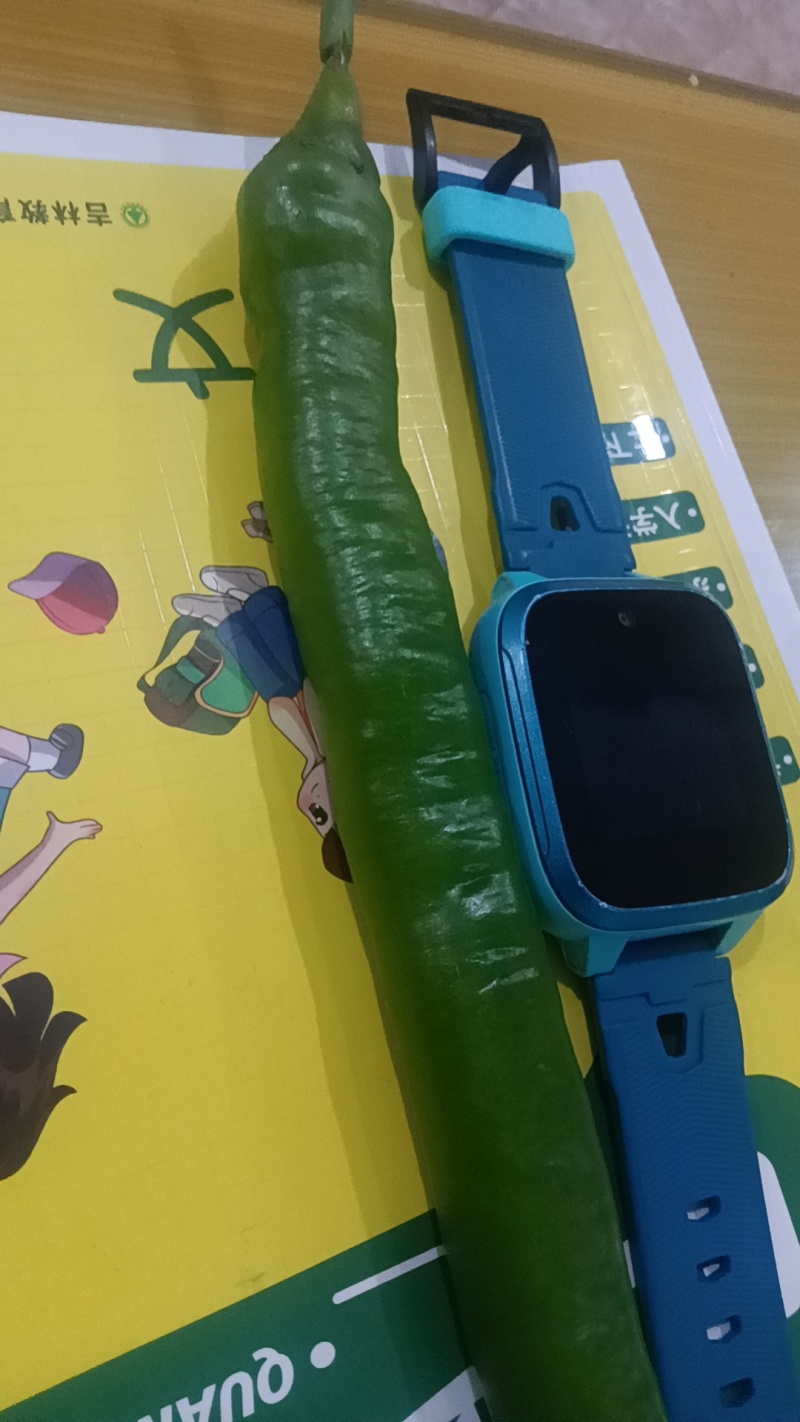 7号红线椒，8号青线椒大量有货，需要的老板速度联系了，
