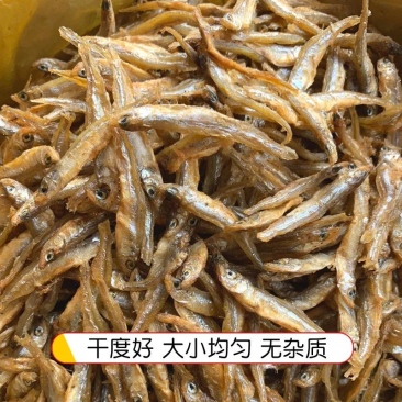 新疆公鱼公鱼仔地摊电商批发淡干不苦小公鱼鱼干