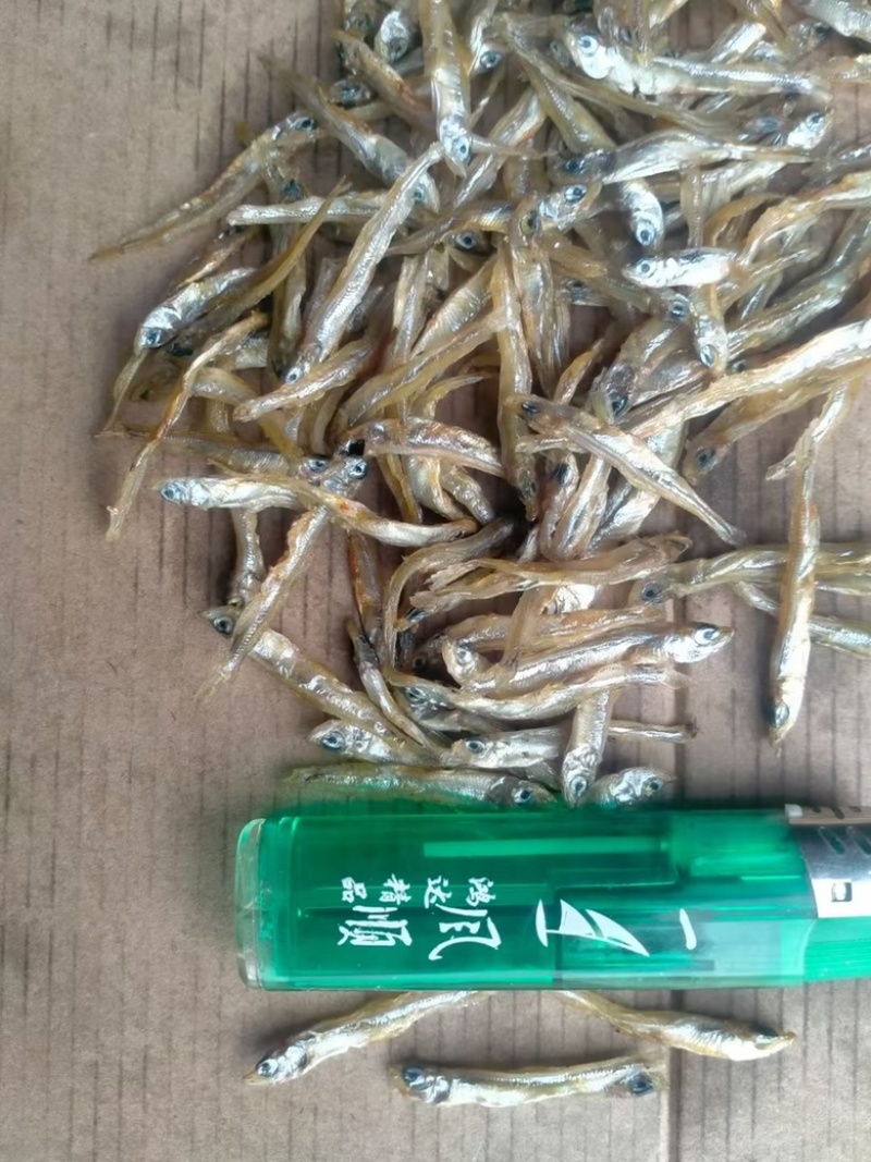 新疆公鱼公鱼仔地摊电商批发淡干不苦小公鱼鱼干